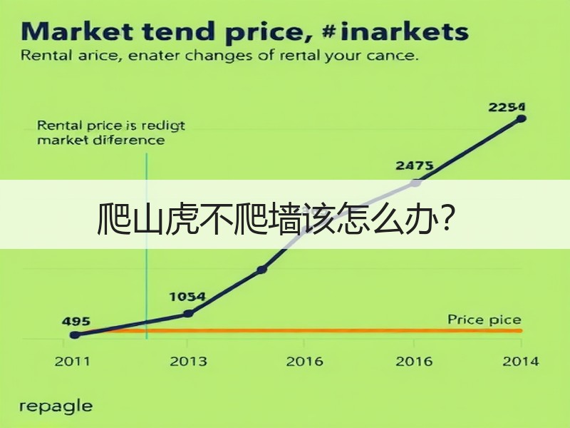 爬山虎不爬墙该怎么办？