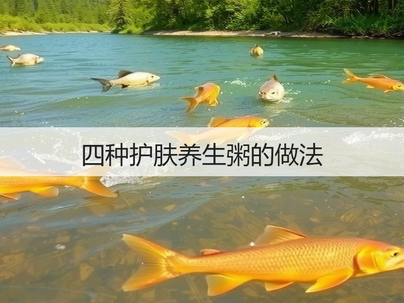 四种护肤养生粥的做法