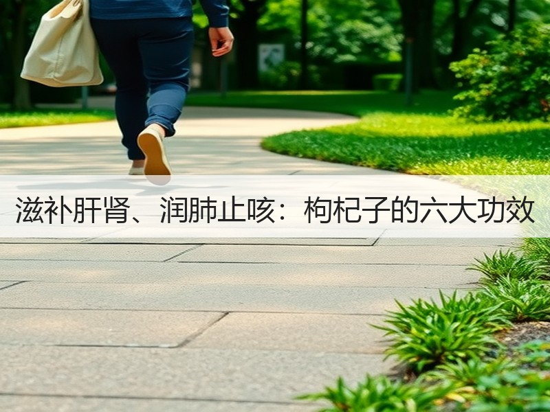 滋补肝肾、润肺止咳：枸杞子的六大功效