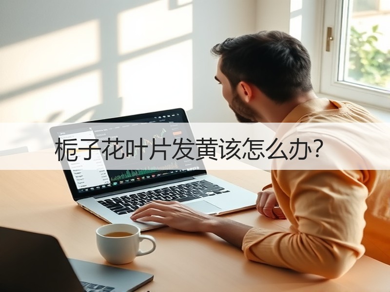 栀子花叶片发黄该怎么办？