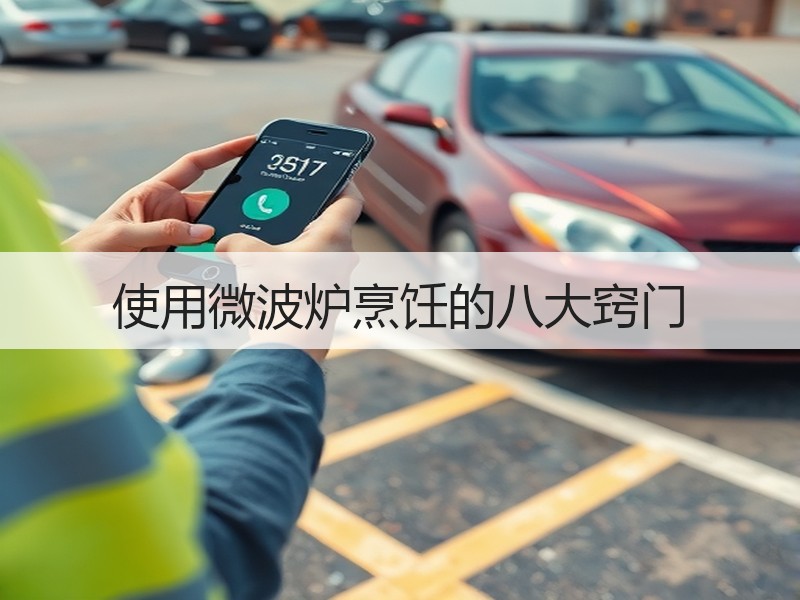 使用微波炉烹饪的八大窍门