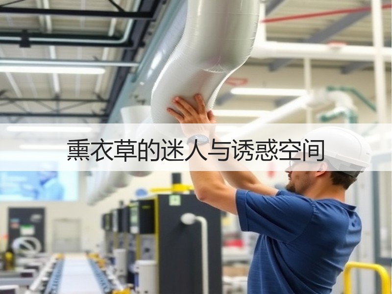 熏衣草的迷人与诱惑空间