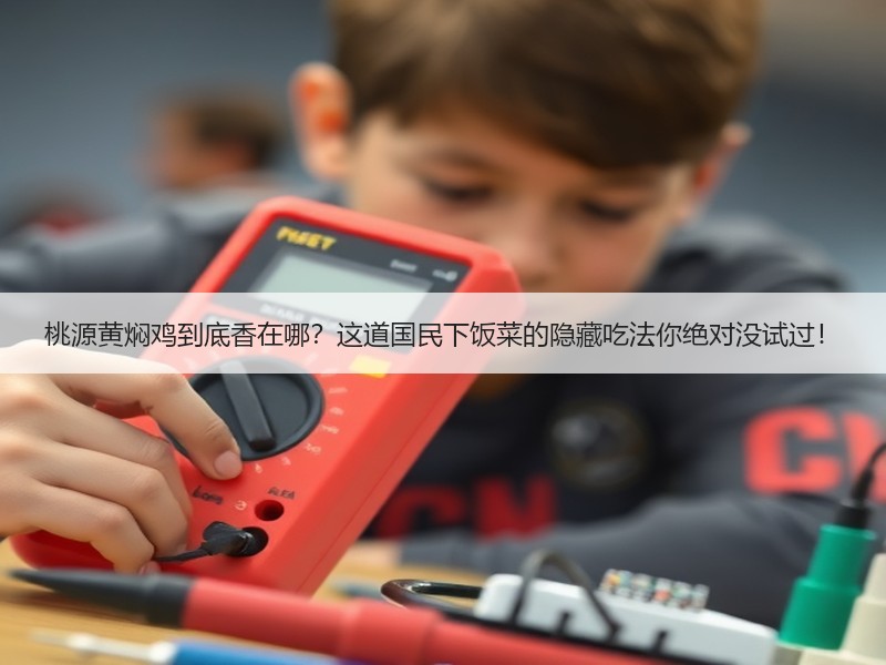 桃源黄焖鸡到底香在哪？这道国民下饭菜的隐藏吃法你绝对没试过！