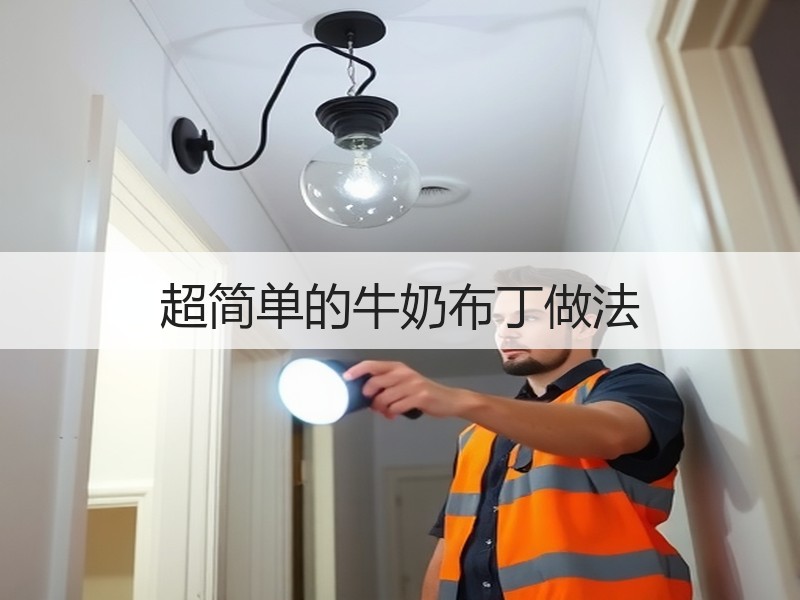 超简单的牛奶布丁做法