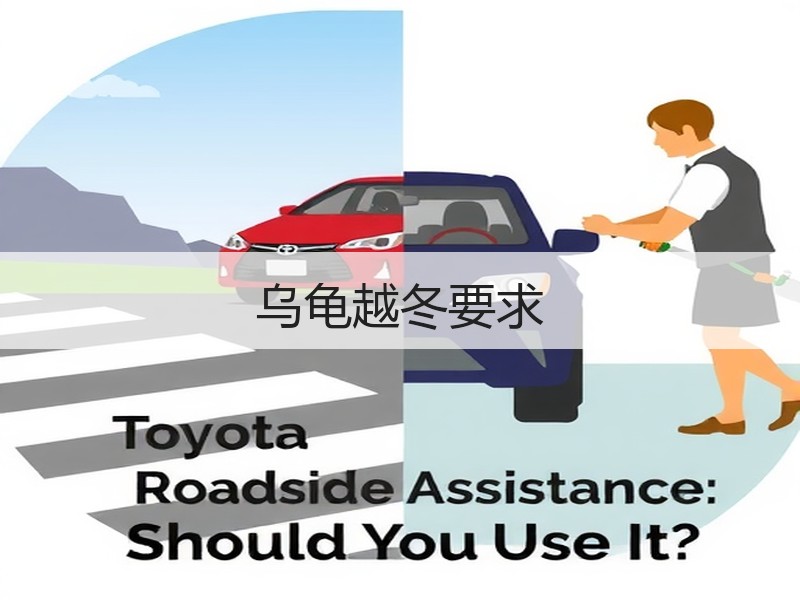 乌龟越冬要求