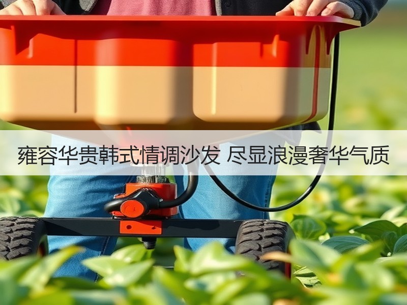 雍容华贵韩式情调沙发 尽显浪漫奢华气质