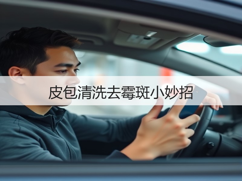 皮包清洗去霉斑小妙招