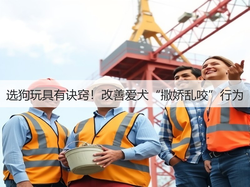 选狗玩具有诀窍！改善爱犬“撒娇乱咬”行为