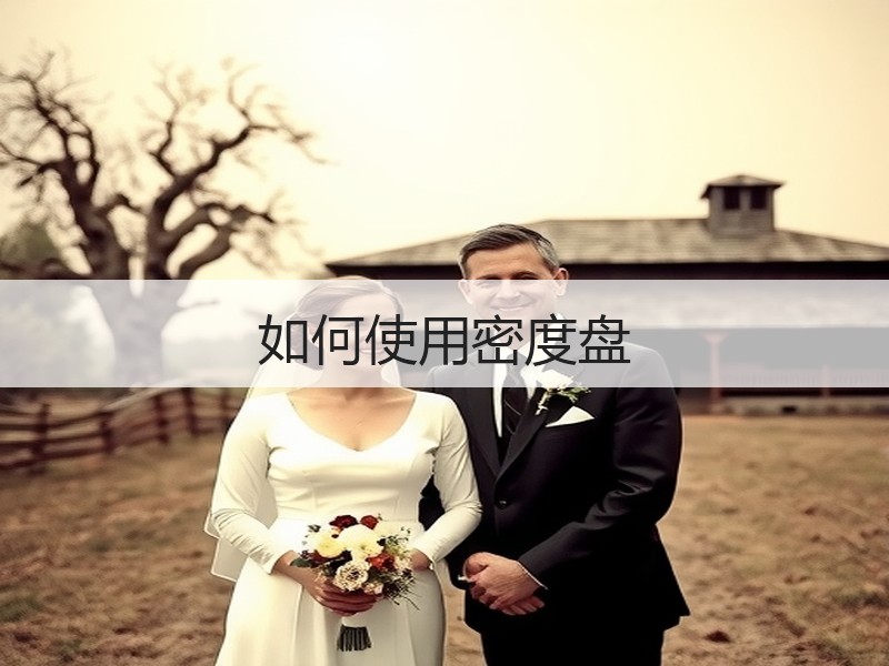 如何使用密度盘