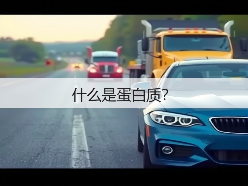 什么是蛋白质？