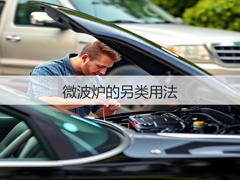 微波炉的另类用法
