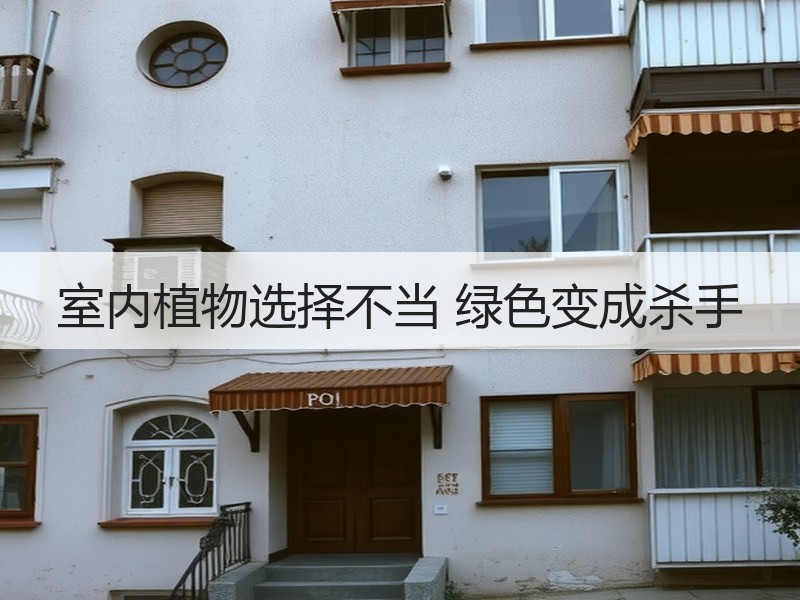 室内植物选择不当 绿色变成杀手