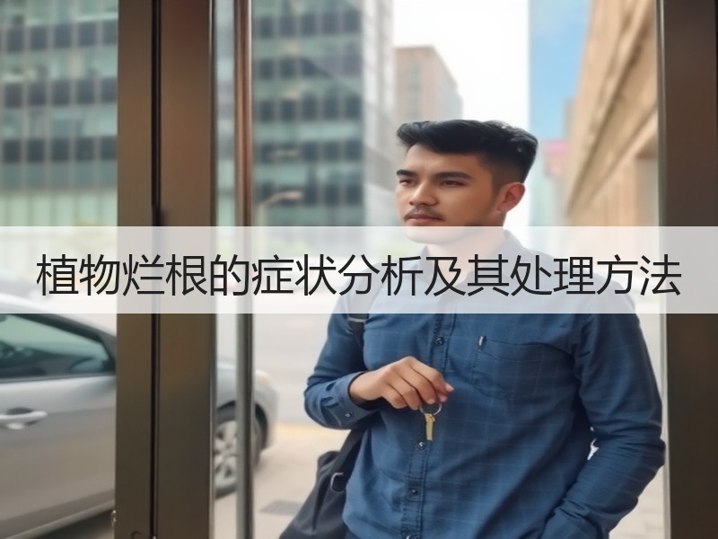 植物烂根的症状分析及其处理方法