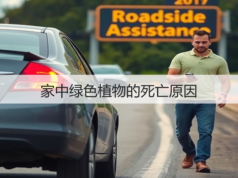 家中绿色植物的死亡原因