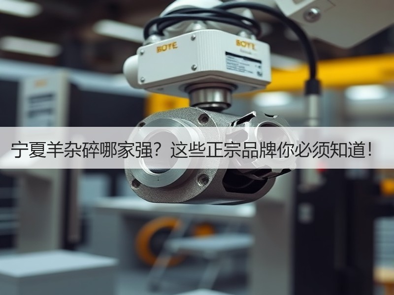 宁夏羊杂碎哪家强？这些正宗品牌你必须知道！