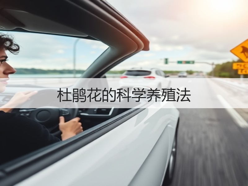 杜鹃花的科学养殖法