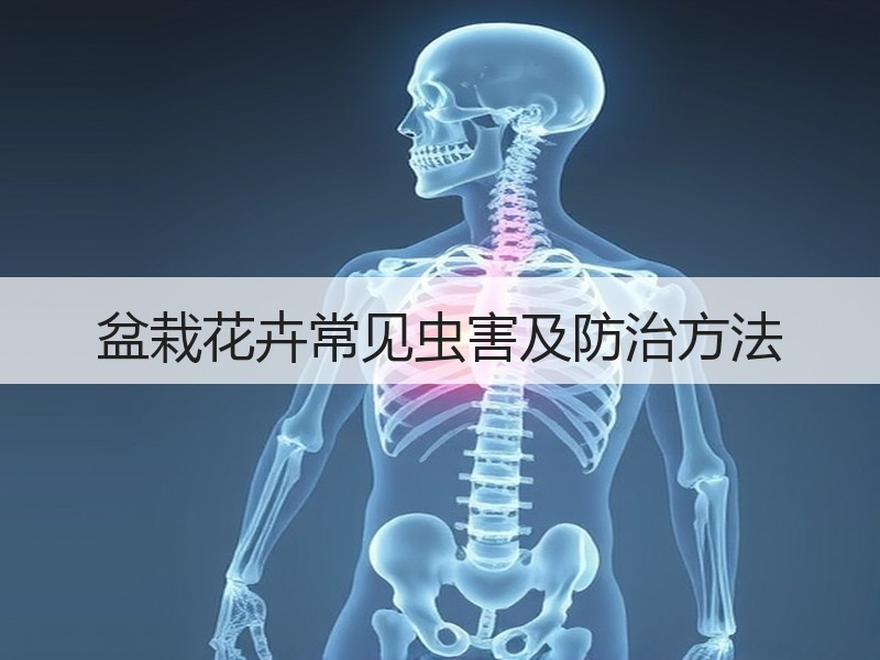 盆栽花卉常见虫害及防治方法