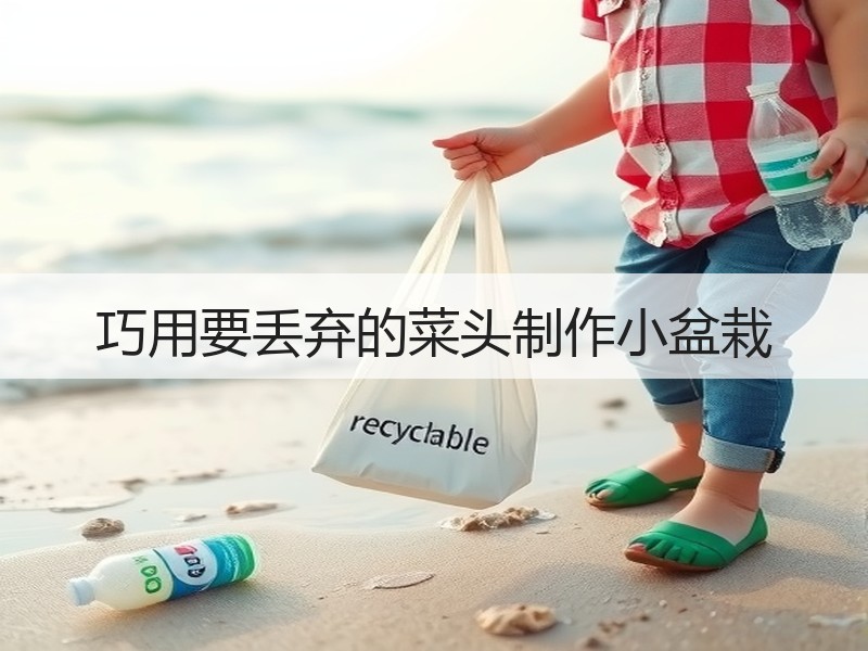 巧用要丢弃的菜头制作小盆栽