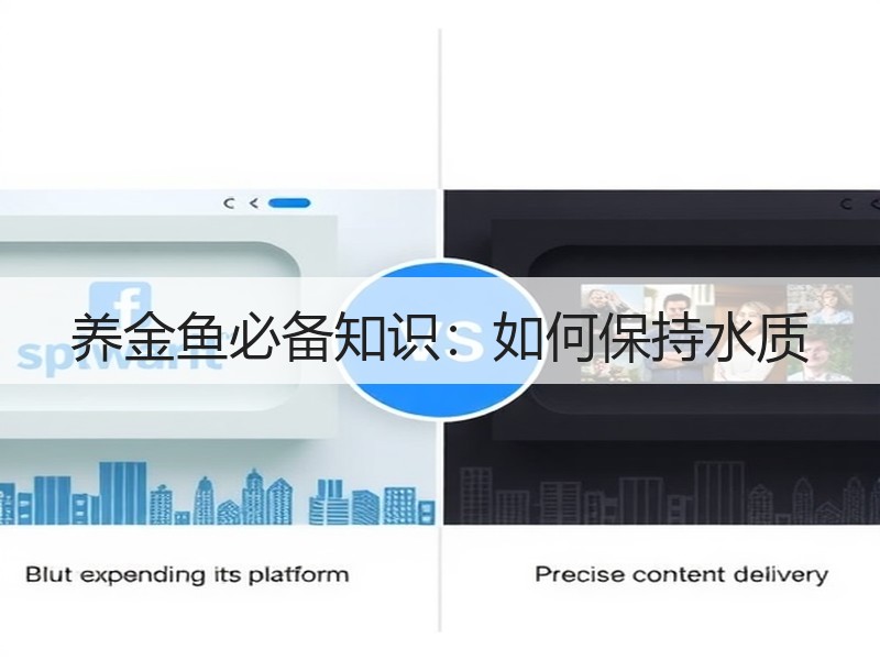 养金鱼必备知识：如何保持水质