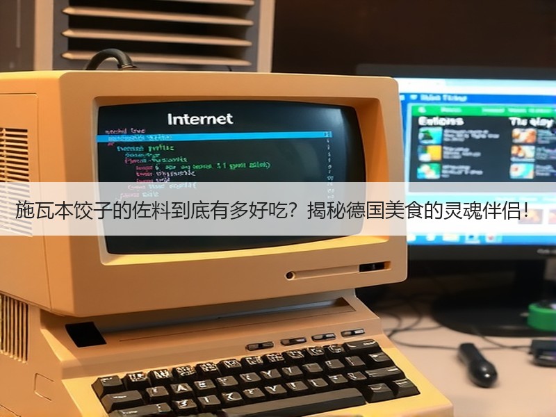 施瓦本饺子的佐料到底有多好吃？揭秘德国美食的灵魂伴侣！