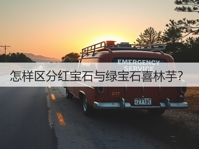 怎样区分红宝石与绿宝石喜林芋？