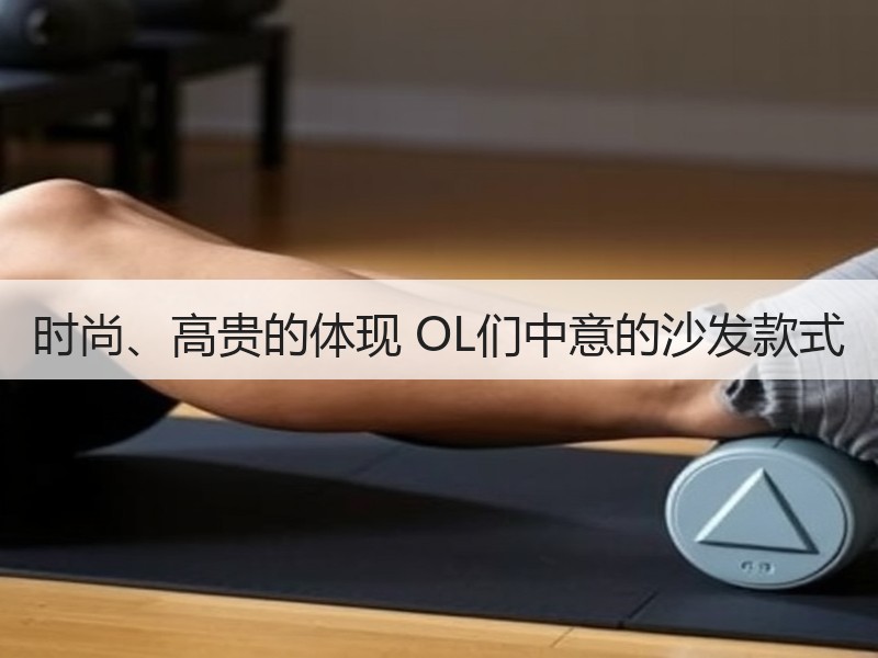 时尚、高贵的体现 OL们中意的沙发款式