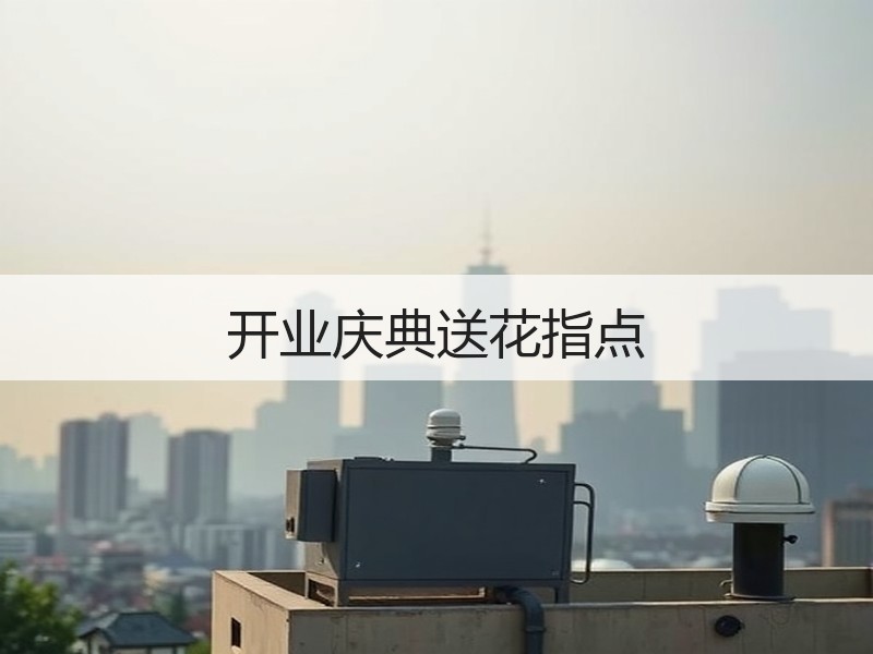 开业庆典送花指点