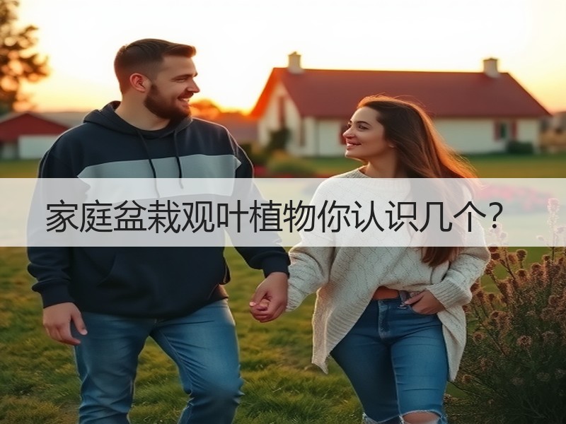 家庭盆栽观叶植物你认识几个？