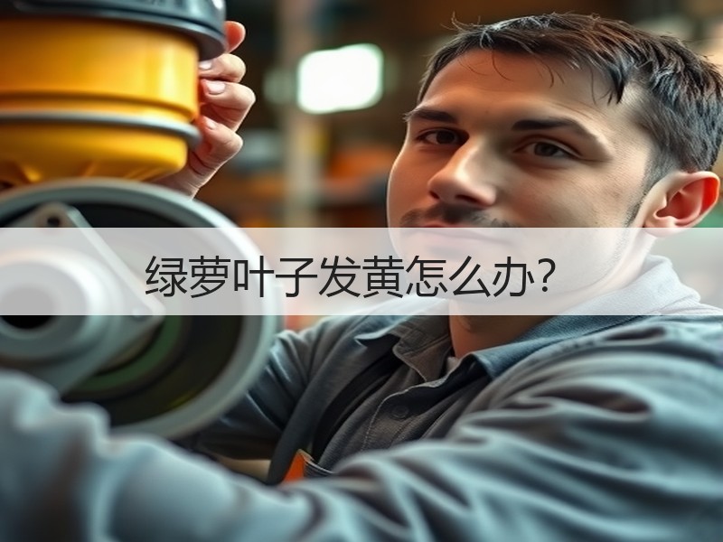 绿萝叶子发黄怎么办？