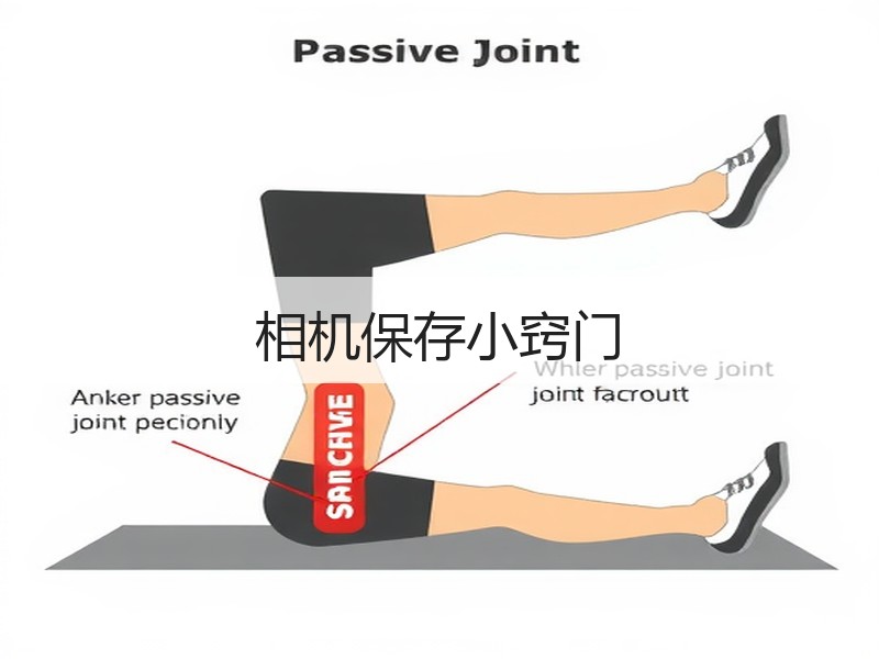 相机保存小窍门