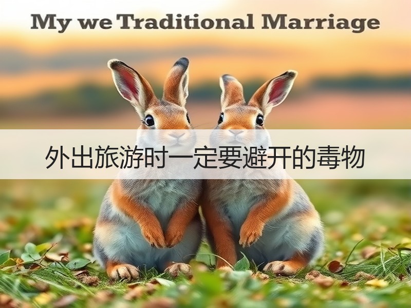 外出旅游时一定要避开的毒物