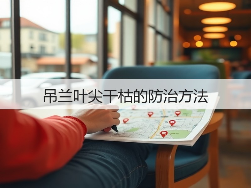 吊兰叶尖干枯的防治方法