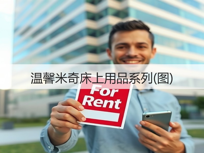 温馨米奇床上用品系列(图)