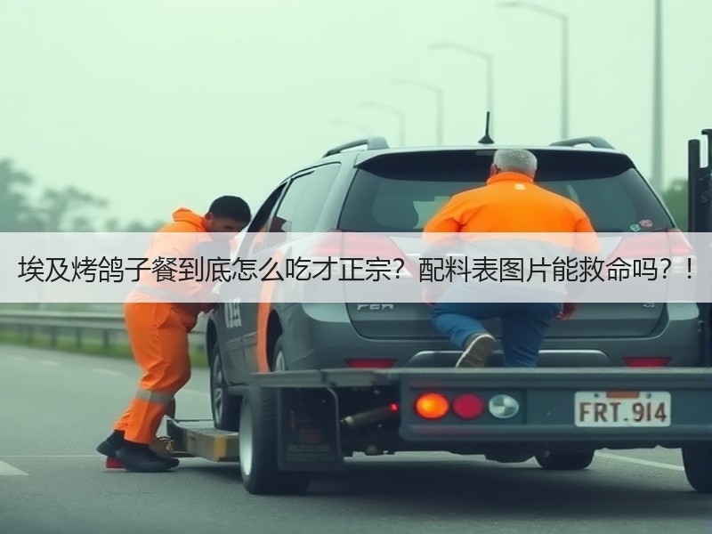 埃及烤鸽子餐到底怎么吃才正宗？配料表图片能救命吗？!