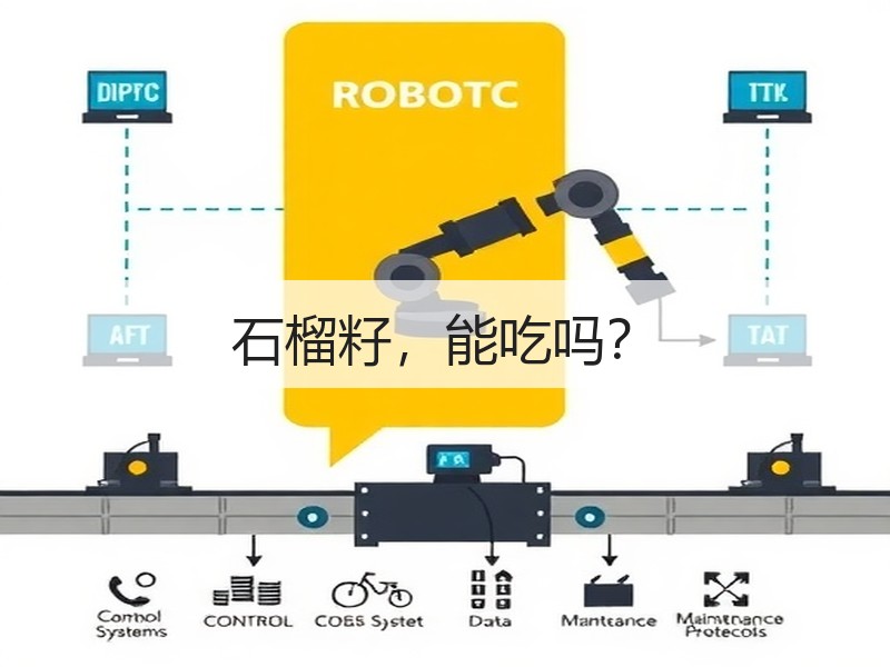 石榴籽，能吃吗？