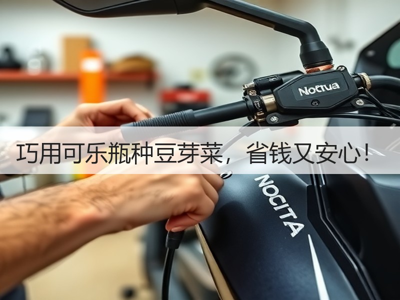 巧用可乐瓶种豆芽菜，省钱又安心！