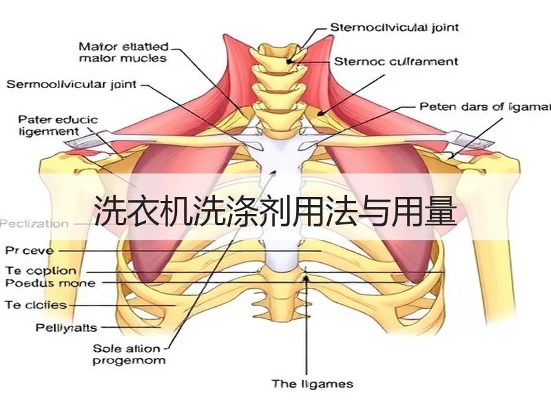 洗衣机洗涤剂用法与用量