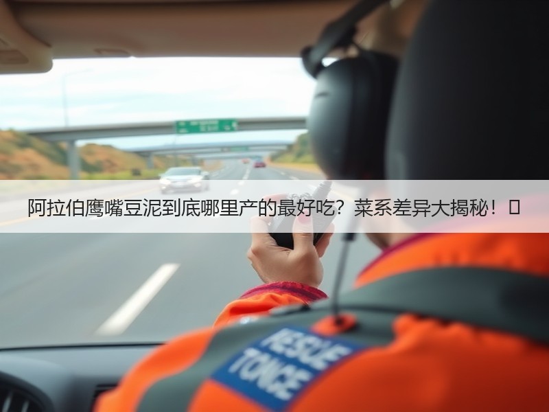 阿拉伯鹰嘴豆泥到底哪里产的最好吃？菜系差异大揭秘！✨