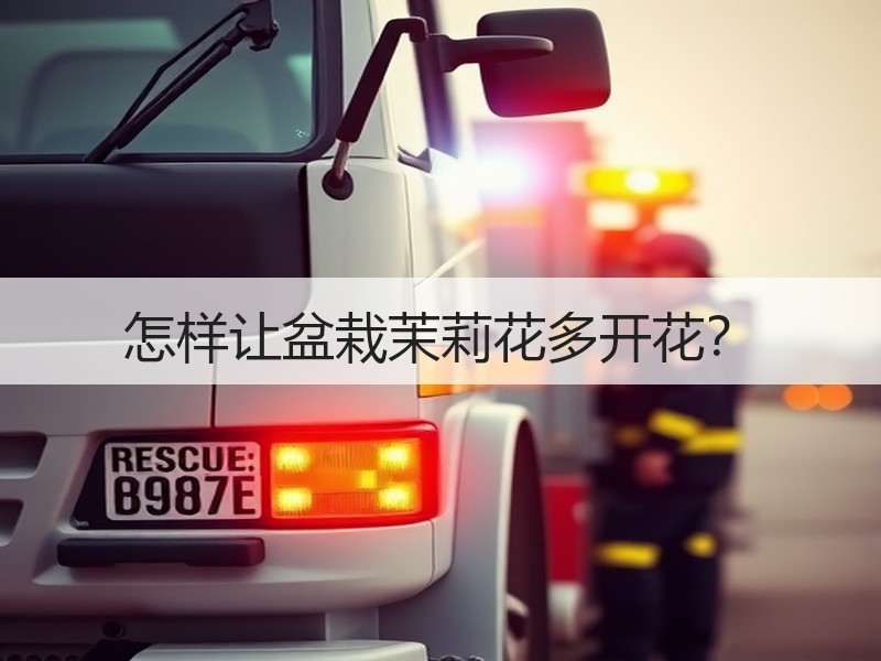 怎样让盆栽茉莉花多开花？