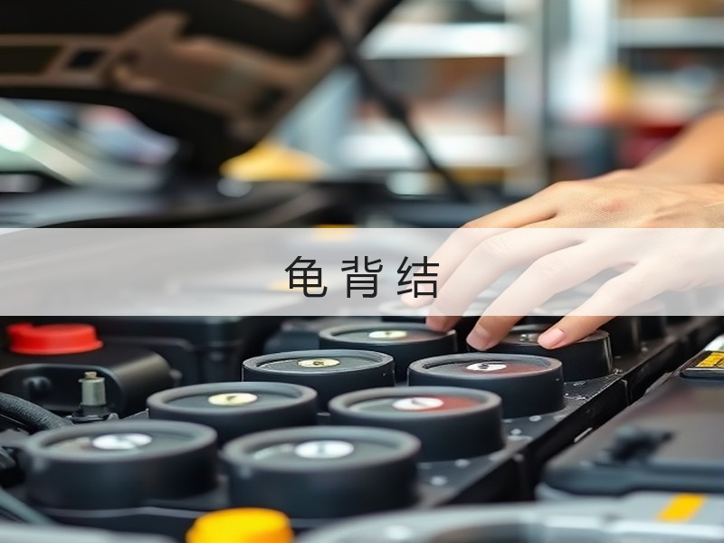 龟 背 结