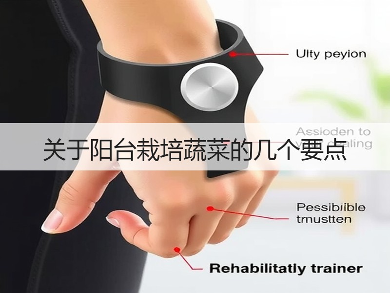 关于阳台栽培蔬菜的几个要点