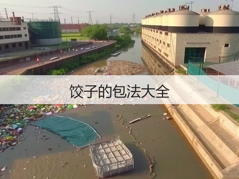 饺子的包法大全