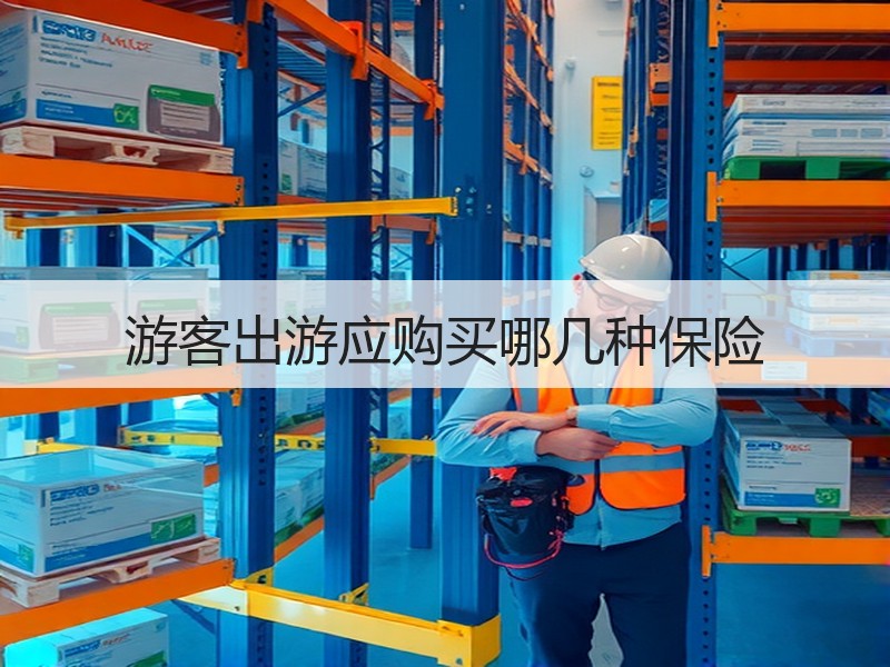 游客出游应购买哪几种保险