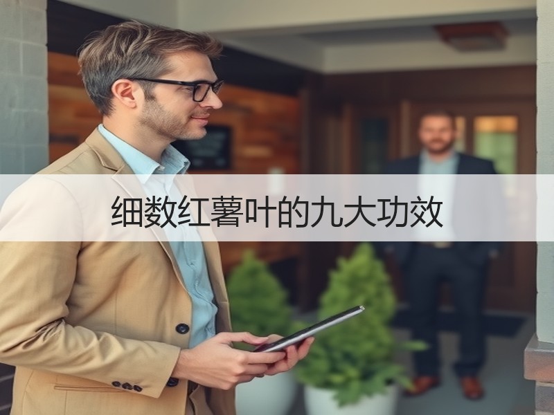 细数红薯叶的九大功效