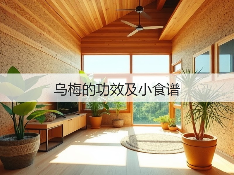 乌梅的功效及小食谱