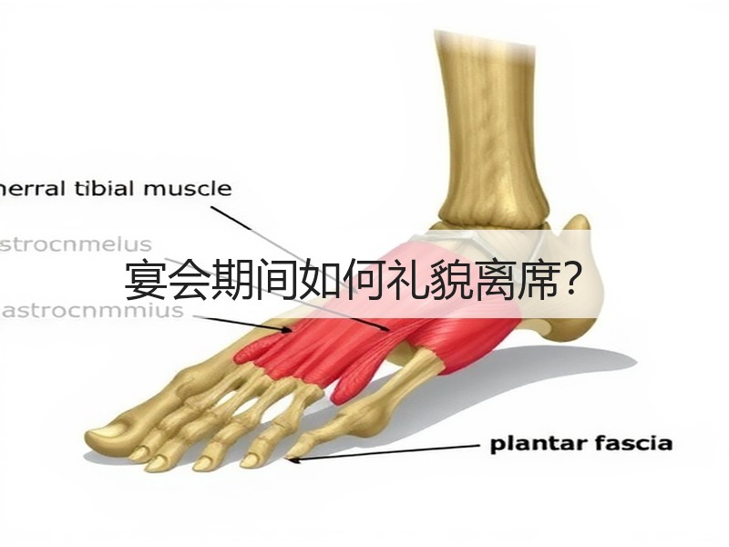 宴会期间如何礼貌离席？