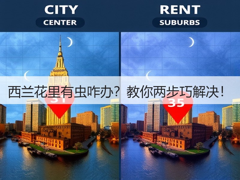 西兰花里有虫咋办？教你两步巧解决！