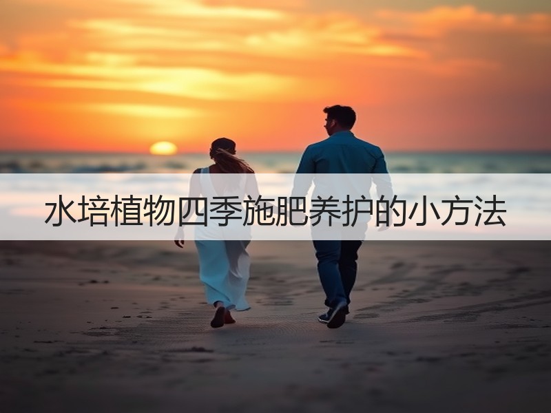 水培植物四季施肥养护的小方法