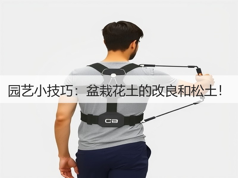 园艺小技巧：盆栽花土的改良和松土！