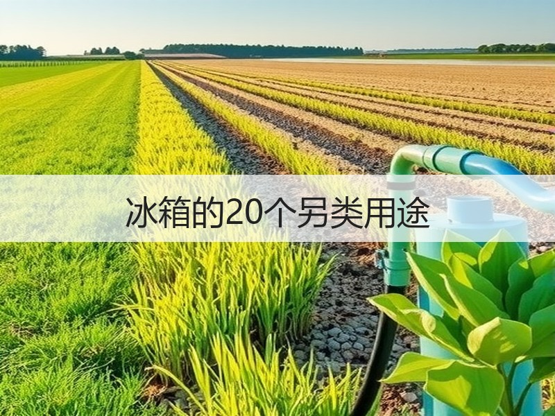 冰箱的20个另类用途